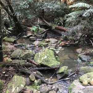 Meet your Posher, Aaron